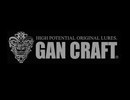 GAN CRAFT