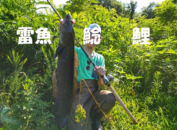 淡水用ルアー