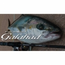 Galahad 633S Spinning Model(送料無料)