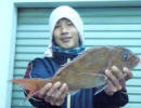 1月26日　香焼地磯