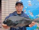 12月16日　樺島（夜釣り）