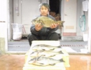 3月2日　蚊焼沖磯