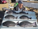 1月23日　軍艦島
