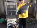 3月12日　蚊焼沖磯