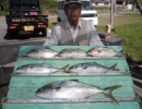 9月29日　端島